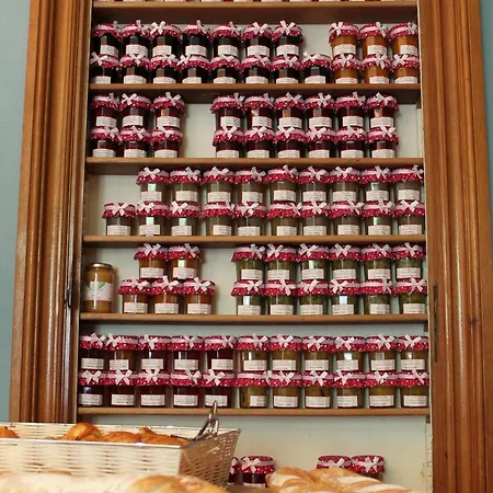 Elyane فندق مبيت وإفطار 4*