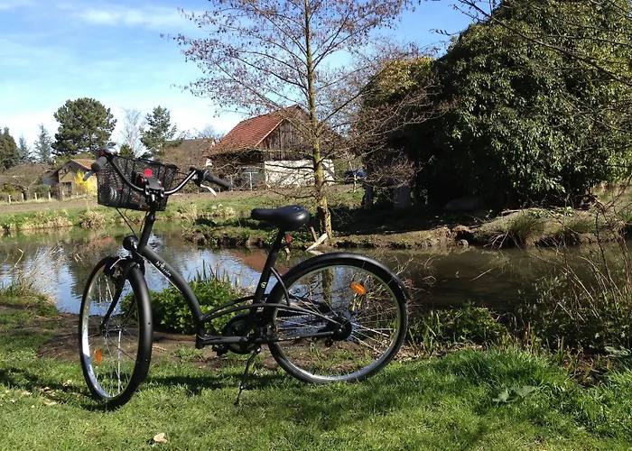 Elyane לינה וארוחת בוקר