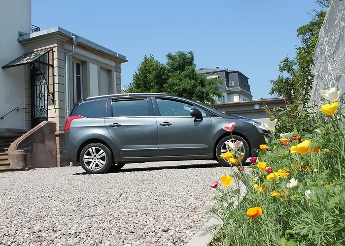 Elyane לינה וארוחת בוקר