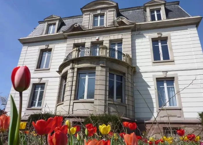 לינה וארוחת בוקר Elyane 4*